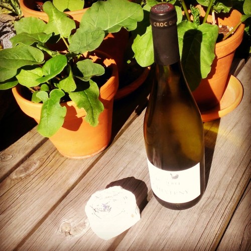 InstagramCapture_0f870b14-e04f-4f5f-a265-f611f268eb5a (2)